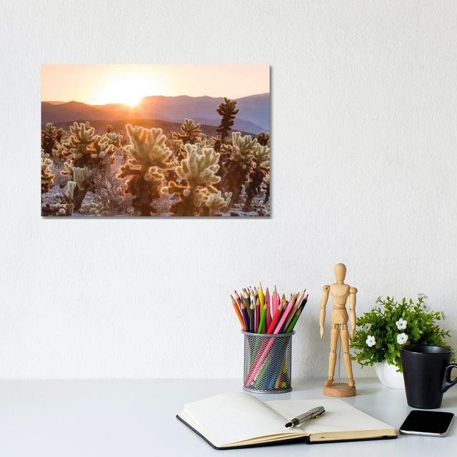 Cactus Garden, Joshua Tree National Park, California, USA by Matteo Colombo - Wrapped Canvas Gallery-Wrapped Canvas Giclée Gracie Oaks Size: 20.32cm H on Productcaster.