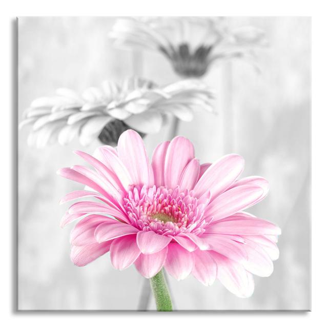 Beautiful Gerberas In Daylight - No Frame Print on Glass Brayden Studio Size: 70cm H x 70cm W x 0.4cm D on Productcaster.