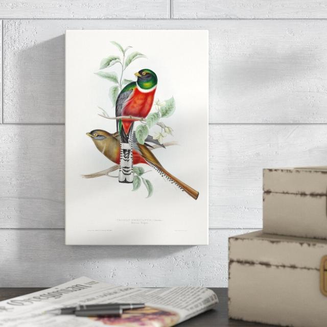 Tropical Trogons V by John Gould - Wrapped Canvas Painting Print Blue Elephant Size: 30cm H x 20cm W on Productcaster.