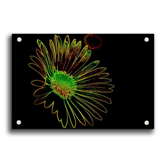 Abstract Neon Floral 13 Flowers - Unframed Photograph Print on Acrylic East Urban Home Size: 59.4cm H x 84.1cm W on Productcaster.