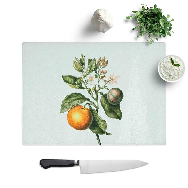 Tempered Glass Bitter Orange Tree With Flowers Chopping Board East Urban Home Size: 39 cm W x 28.5 cm L on Productcaster.