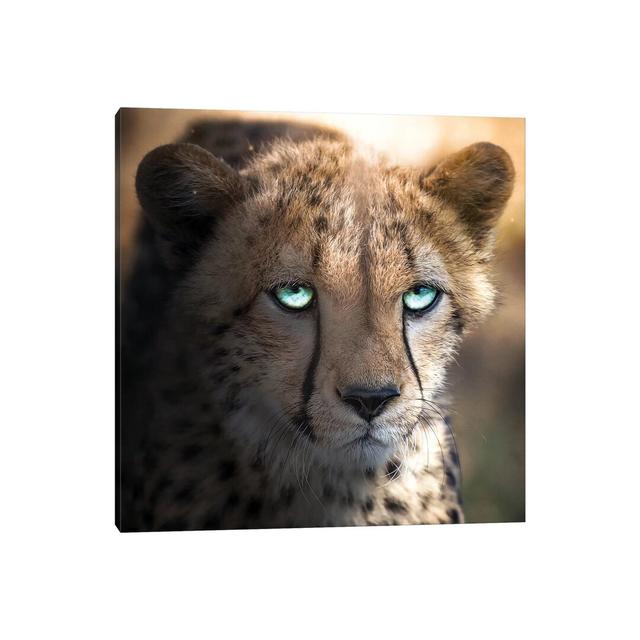 The Blue Eyed Cheetah by Zenja Gammer - Print on Canvas Bloomsbury Market Size: 45.72cm H x 45.72cm W x 1.91cm D, Format: Wrapped Canvas on Productcaster.