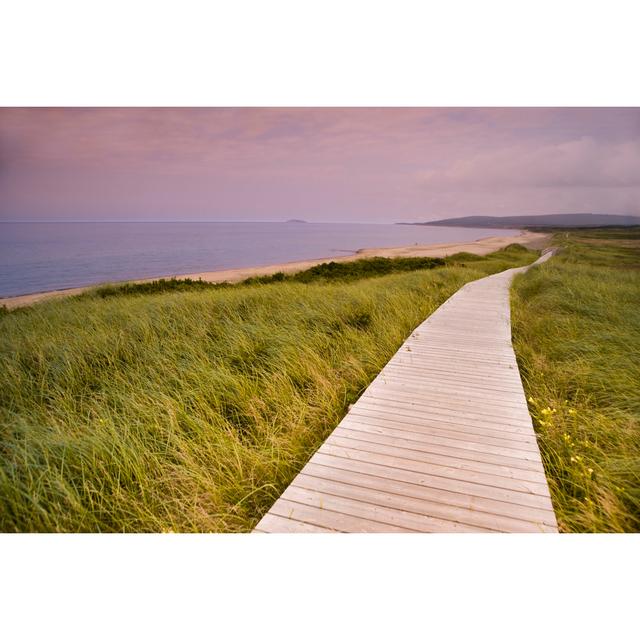 Walkway to the beach House of Hampton Size: 20cm H x 30cm W on Productcaster.