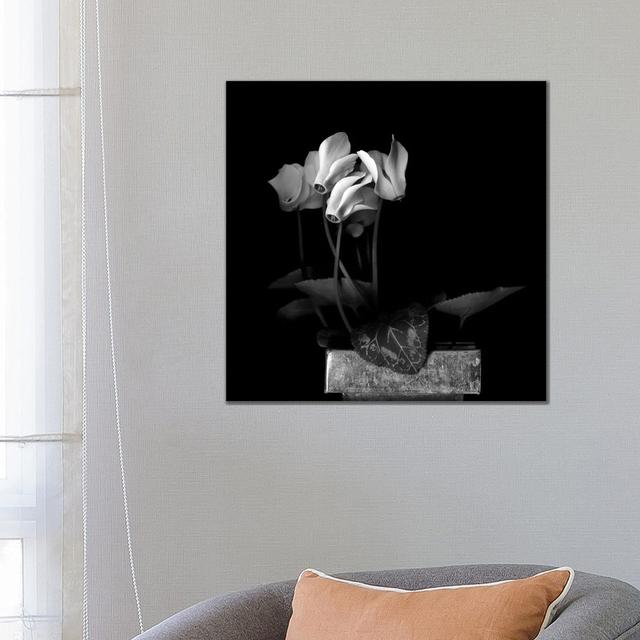 White Cyclamen V, B&W by Magda Indigo - Wrapped Canvas Gallery-Wrapped Canvas Giclée Latitude Run Size: 66.04cm H x 66.04cm W x 1.91cm D on Productcaster.