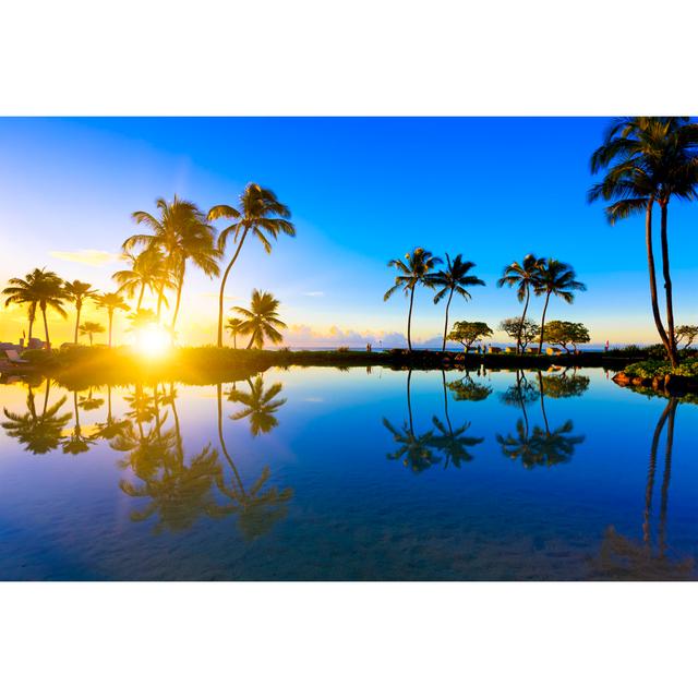 Sunrise Behind Palm Trees In Kauai, Hawaii by Pawel Gaul - Print 17 Stories Size: 81cm H x 122cm W on Productcaster.