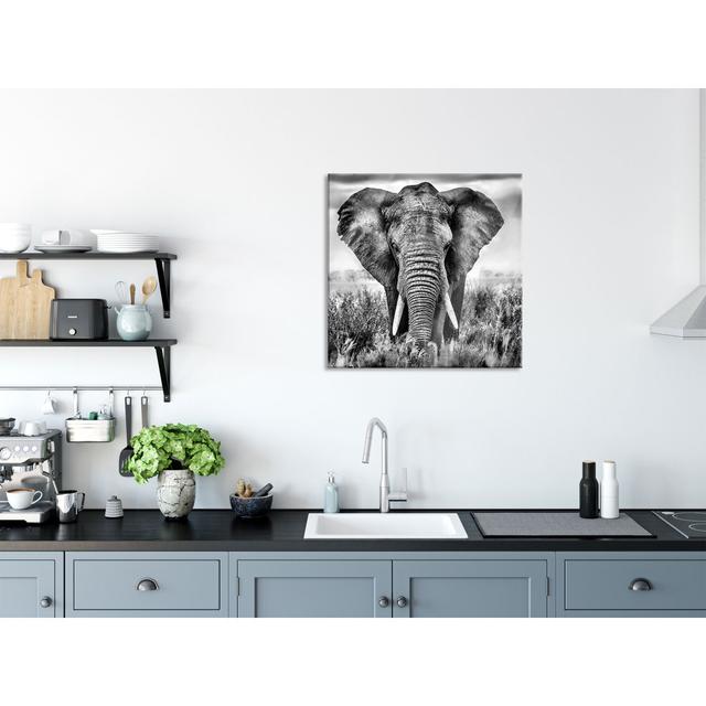 Impressive Elephant - No Frame Print on Glass Bloomsbury Market Size: 70cm H x 70cm W x 0.4cm D on Productcaster.