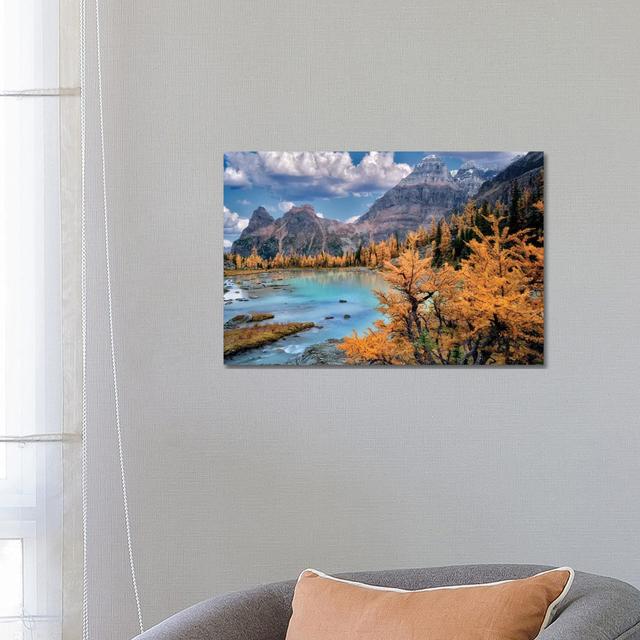 Rocky Mt. Larch by Dennis Frates - Wrapped Canvas Print Alpen Home Size: 45.72cm H x 66.04cm W x 1.91cm D on Productcaster.