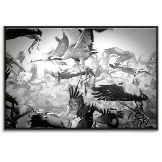 Photographers Lane - Wrapped Canvas Print World Menagerie Size: 51cm H x 76cm W, Frame Options: Black on Productcaster.