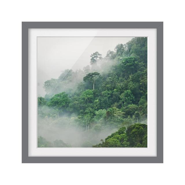 Jungle in the Mist - Picture Frame Graphic Art Print on Paper East Urban Home Frame Options: Matt grey, Size: 70cm H x 70cm W on Productcaster.