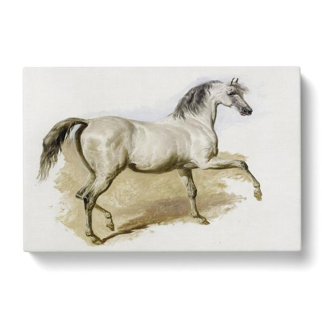 Study of a Grey Arab Horse by John Frederick Herring - Wrapped Canvas Painting East Urban Home Size: 40cm H x 60cm W x 3cm D on Productcaster.