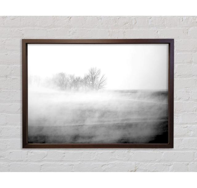 Single Picture Frame Art Prints on Canvas Bright Star Size: 100cm H x 141.4cm W on Productcaster.