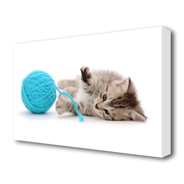 Kitten Cat Fun Wildlife - Wrapped Canvas Photograph Print East Urban Home Size: 101.6 cm H x 142.2 cm W on Productcaster.