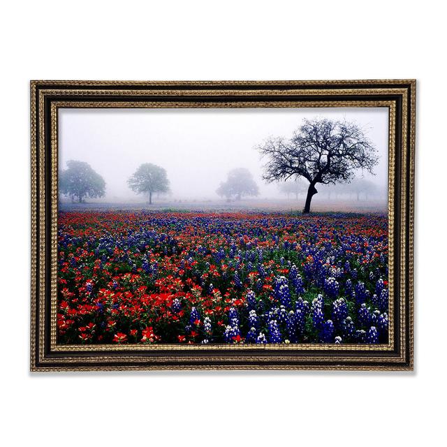 Field Of Flowers In The Morning Mist Framed Print Rosalind Wheeler Size: 42cm H x 59.7cm W x 3cm D on Productcaster.