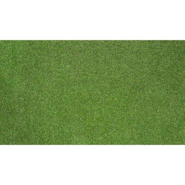 Brialle 30mm Plush Pet-Friendly, Premium Artificial Grass For Patio-3m(9'9") X 4m(13'1")-12m² Dakota Fields on Productcaster.