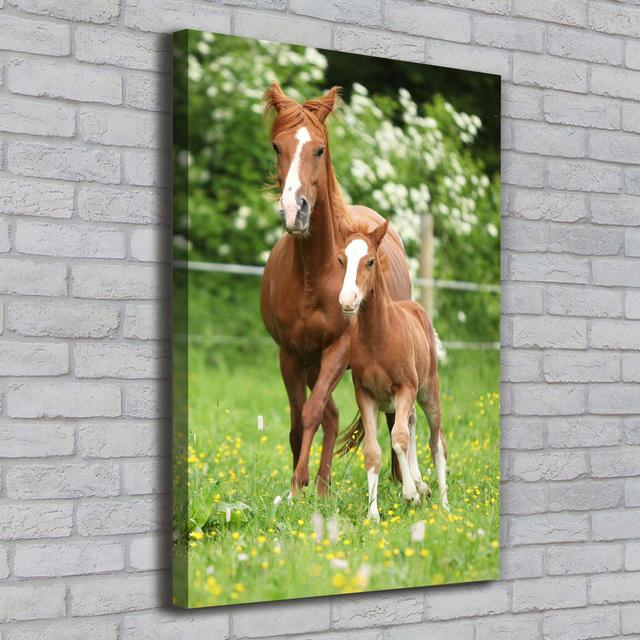 Mare and Foal - Wrapped Canvas Art Prints August Grove on Productcaster.