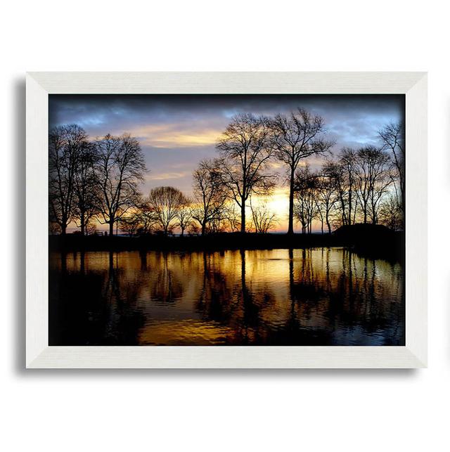 Woodland Lake at First Light - Single Picture Frame Art Prints Brayden Studio Size: 29.7cm H x 42cm W on Productcaster.