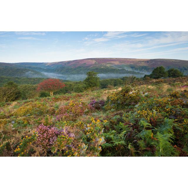 Quantock Hills by Unknown - Wrapped Canvas Photograph 17 Stories Size: 61cm H x 91cm W on Productcaster.