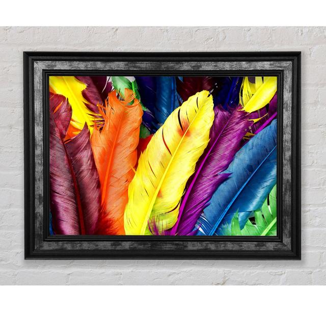 Feathers In Colours - Print Bright Star Size: 42cm H x 59.7cm W x 8cm D on Productcaster.