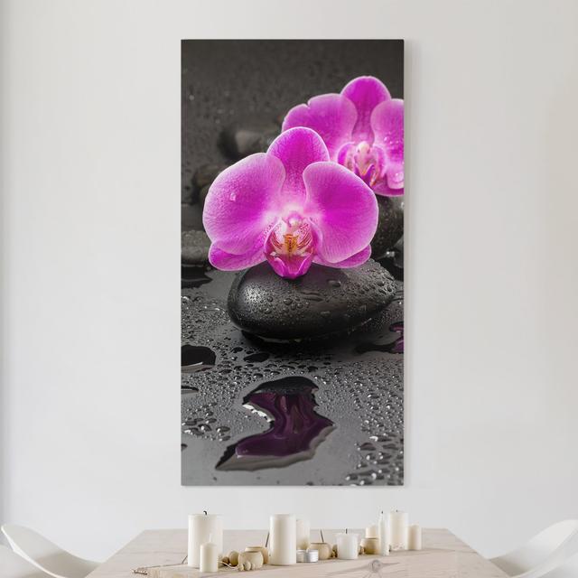 Leinwandbild Pink Orchid Flowers on Stones with Drops Ebern Designs Größe: 60 cm H x 30 cm B on Productcaster.