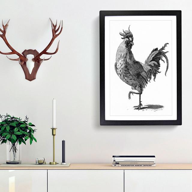 A Cock in Black and White by Johan Teyler - Picture Frame Drawing Print on Paper East Urban Home Size: 63cm H x 45cm W x 2cm D, Frame Option: Black Fr on Productcaster.