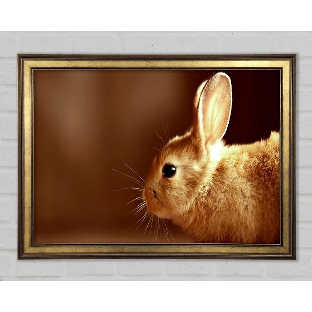 Bunny Whiskers - Single Picture Frame Art Prints Ebern Designs Size: 59.1cm H x 84.1cm W on Productcaster.