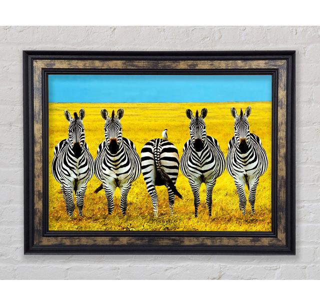 Zebra Line-Up - Single Picture Frame Art Prints Bright Star Size: 21cm H x 42cm W x 8cm D on Productcaster.