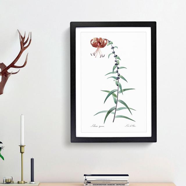 Tiger Lily Flower by Pierre-Joseph Redoute - Picture Frame Painting Print East Urban Home Frame Option: Black Framed, Size: 36cm H x 27cm W x 2cm D on Productcaster.