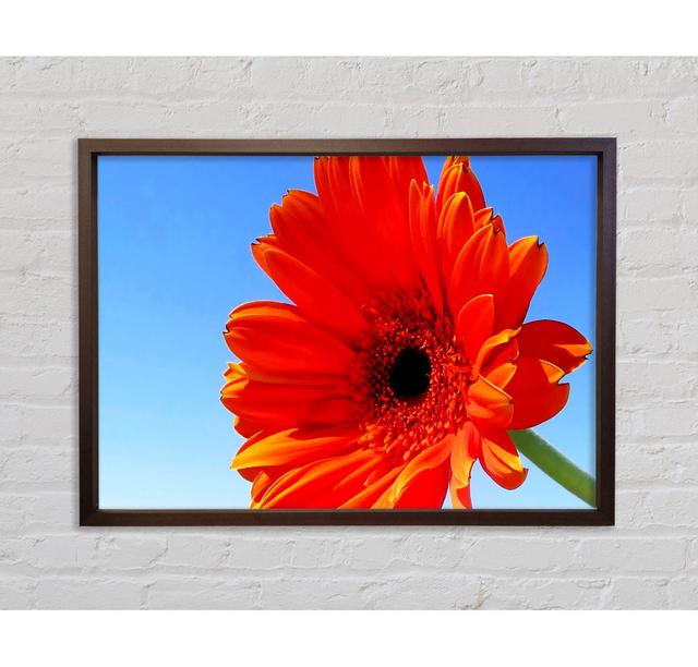 Gerbera Skies - Single Picture Frame Art Prints on Canvas Bright Star Size: 59.7cm H x 84.1cm W x 3.3cm D on Productcaster.