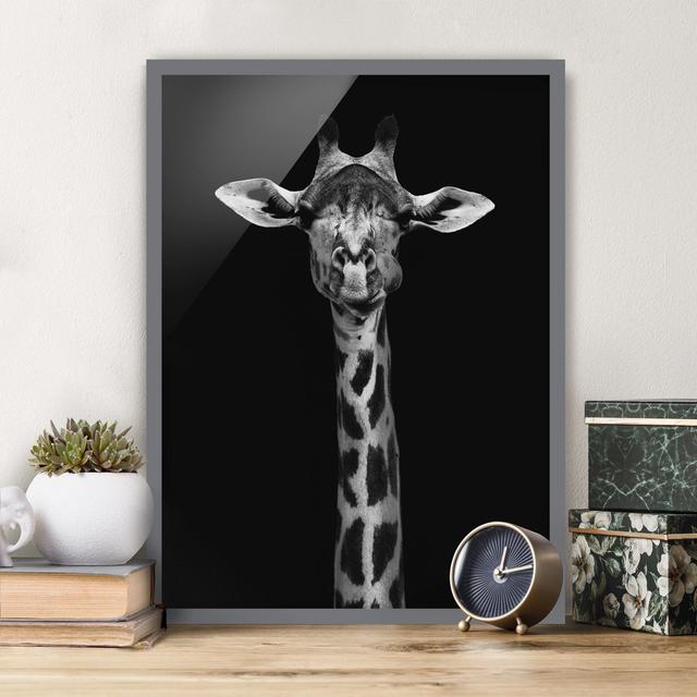 Dark Giraffe Portrait - Picture Frame Photograph Latitude Vive Size: 70cm H x 50cm W x 2cm D, Frame Option: Grey Framed on Productcaster.