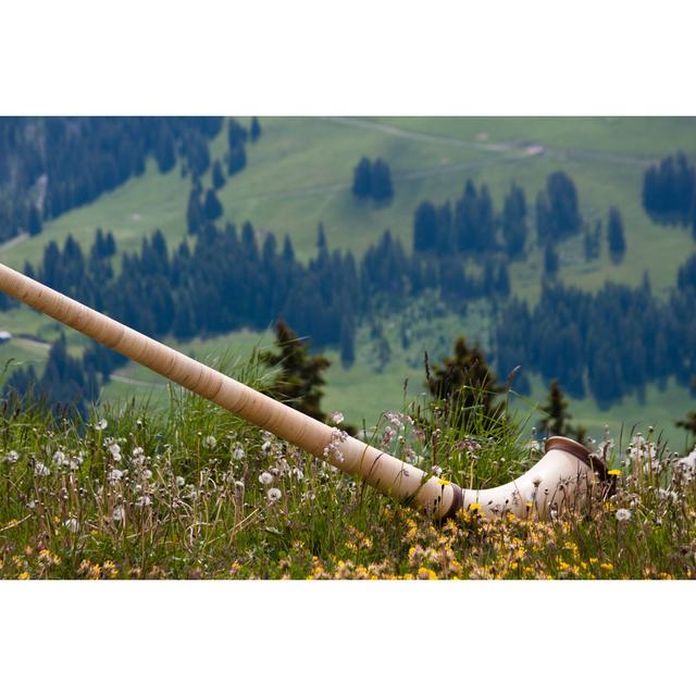 Alphorn In The Meadow by Bopyd - No Frame Print on Canvas Alpen Home Size: 30cm H x 46cm W on Productcaster.