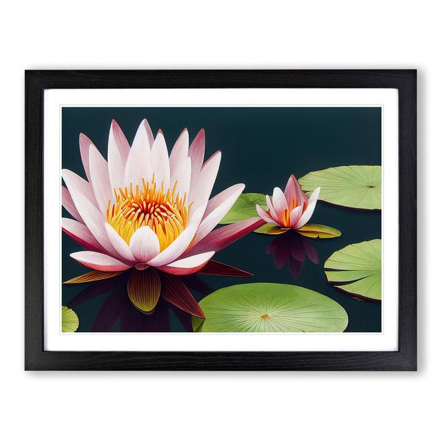 Appealing Water Lily Flowers - Picture Frame Graphic Art 17 Stories Size: 25cm H x 34cm W x 2cm D, Frame Colour: Black Framed on Productcaster.