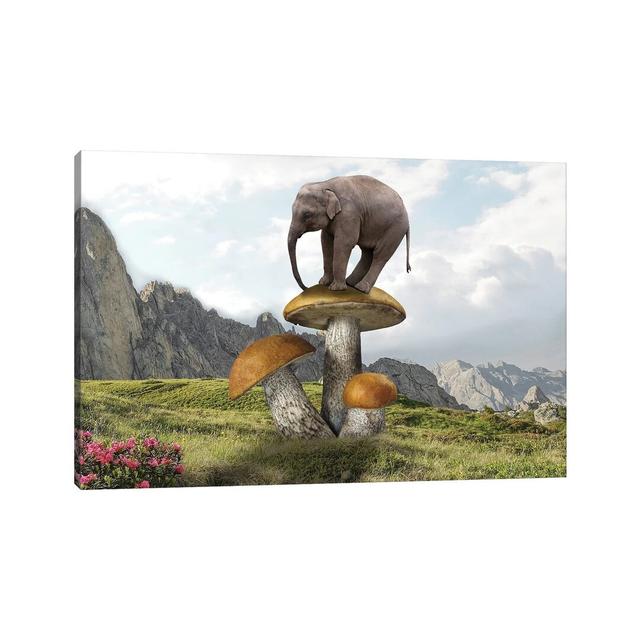 Words On Mushrooms Maturi Size: 30.48cm H x 45.72cm W x 1.91cm D on Productcaster.