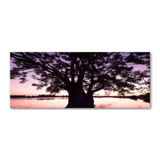 Tree and Lake - Unframed Photograph on Canvas Brayden Studio on Productcaster.