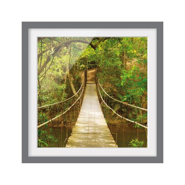 Jungle Bridge Framed Photographic Art Print Poster East Urban Home Frame Options: Matt grey, Size: 50cm H x 50cm W on Productcaster.