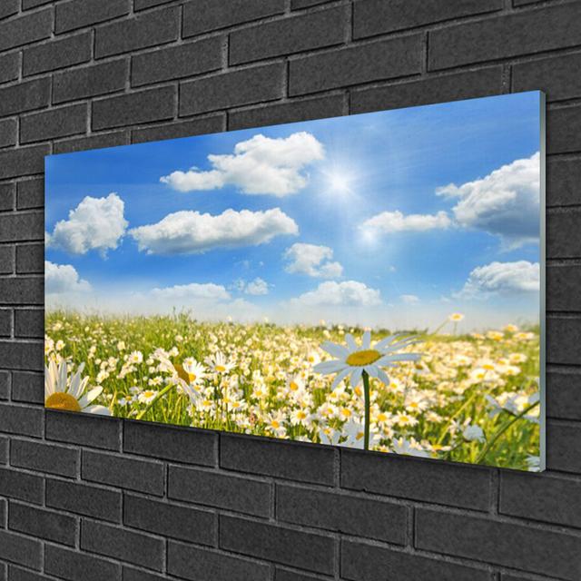 Glass Print Wall Art 100X50cm Image Printed On Glass Decorative Wall Picture Behind Toughened / Tempered Safety Real Glass For Kitchen & Living Room T on Productcaster.