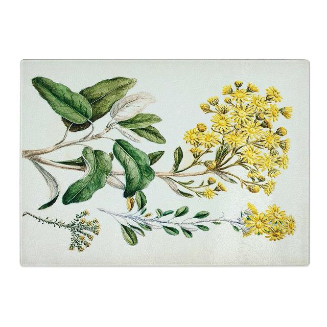 Tempered Glass Daisy Brachyglottis Flowers by Sarah Featon Chopping Board East Urban Home Size: 39 cm x 28.5 cm on Productcaster.