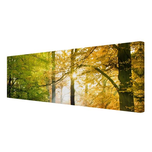 Morning Light - Wrapped Canvas Graphic Art Print East Urban Home Size: 150cm L x 50cm W on Productcaster.