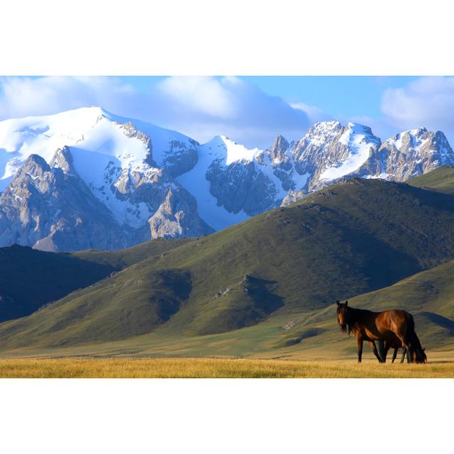 Alpaugh Horses In The Mountains by Petrichuk - Wrapped Canvas Print Alpen Home Size: 81cm H x 122cm W x 3.8cm D on Productcaster.