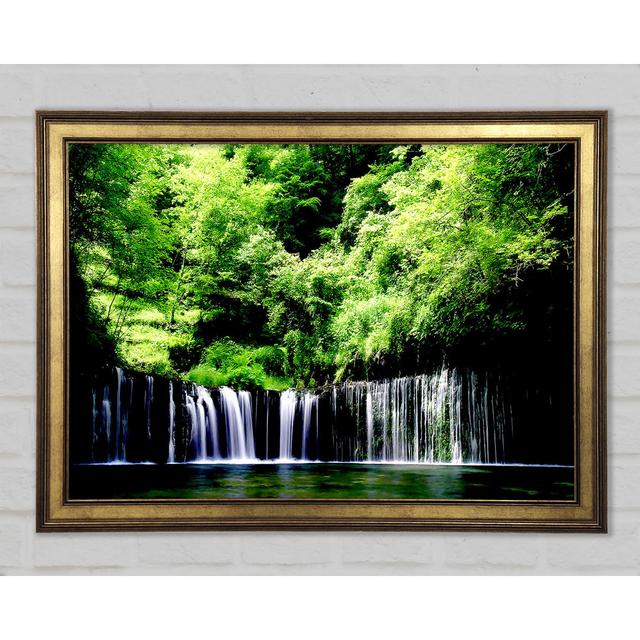 Rain Forest - Print Union Rustic Size: 29.7cm H x 42cm W x 1.5cm D on Productcaster.