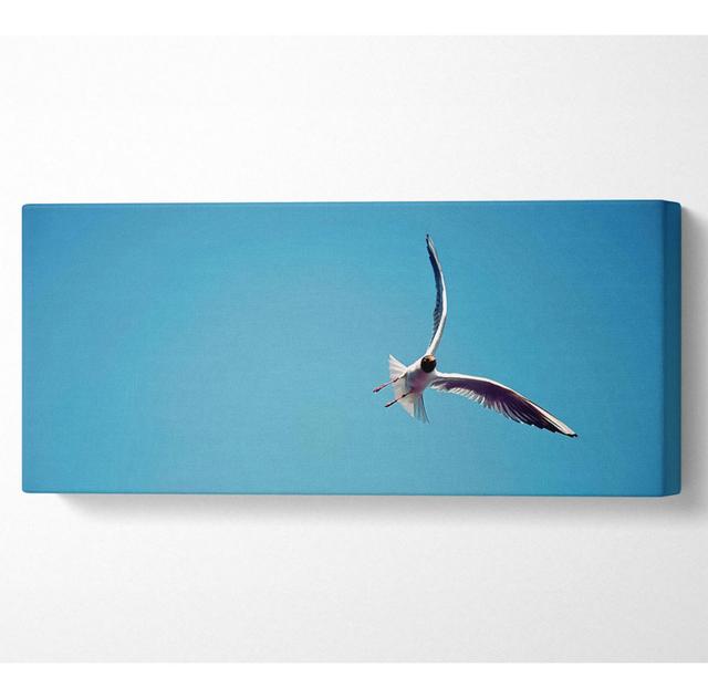 Seagull Flight - Wrapped Canvas Panoramic Art Prints Highland Dunes Size: 81.3cm H x 183cm W x 10cm D on Productcaster.