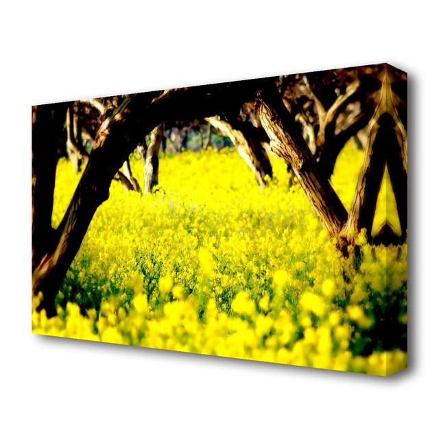 Orchard Sun Beam Forest Canvas Print Wall Art East Urban Home Size: 81.3 cm H x 121.9 cm W on Productcaster.