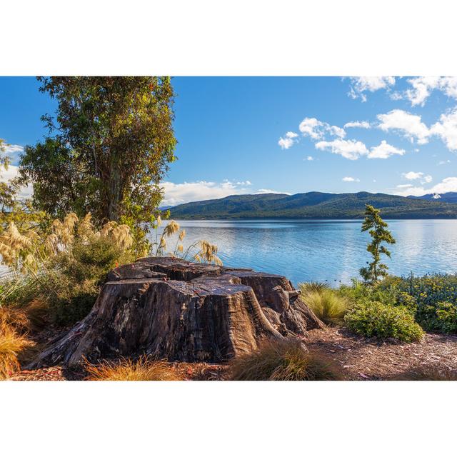 Braley Lake Te Anau by Tsvibrav - Wrapped Canvas Print Alpen Home Size: 30cm H x 46cm W x 3.8cm D on Productcaster.