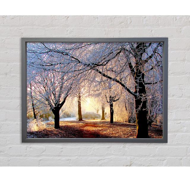 Beautiful Winter Light - Single Picture Frame Art Prints on Canvas Bright Star Size: 59.7cm H x 84.1cm W x 3.3cm D on Productcaster.