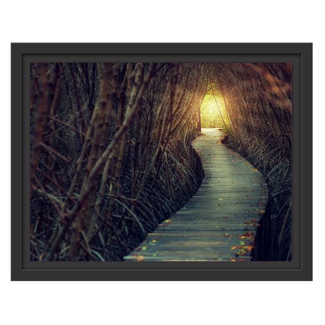 Path in the Forest Floater Frame Graphic Art Print auf Papier East Urban Home Größe: 30 cm H x 38 cm B x 2,4 cm T, Farbe: Gelb on Productcaster.