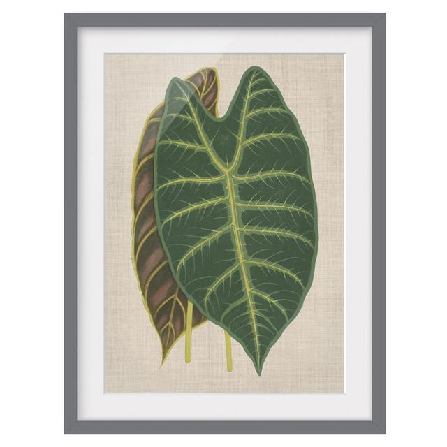 Leaves on Linen I - Picture Frame Painting 17 Stories Size: 70cm H x 50cm W x 2cm D, Frame Option: Grey Framed on Productcaster.