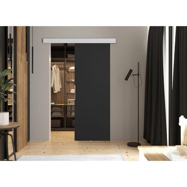 DOOR MALIBU 1 Brayden Studio Door Finish: Graphite Grey, Size: 62cm x 205cm on Productcaster.