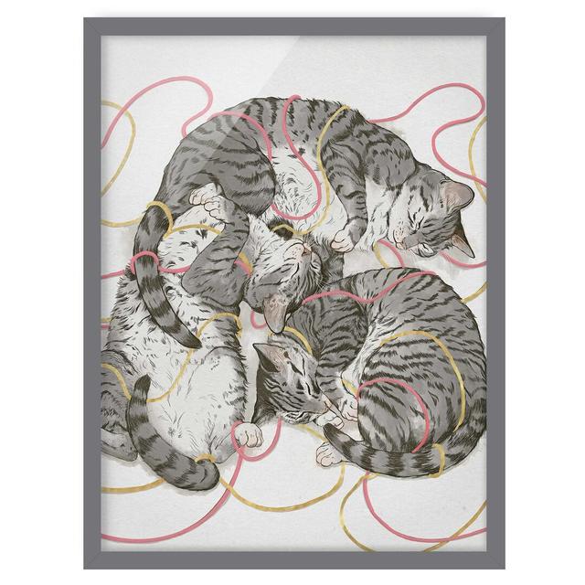 Illustration Grey Cats - Picture Frame Graphic Art Rosalind Wheeler Frame Option: Grey Framed, Size: 40cm H x 30cm W x 2cm D on Productcaster.