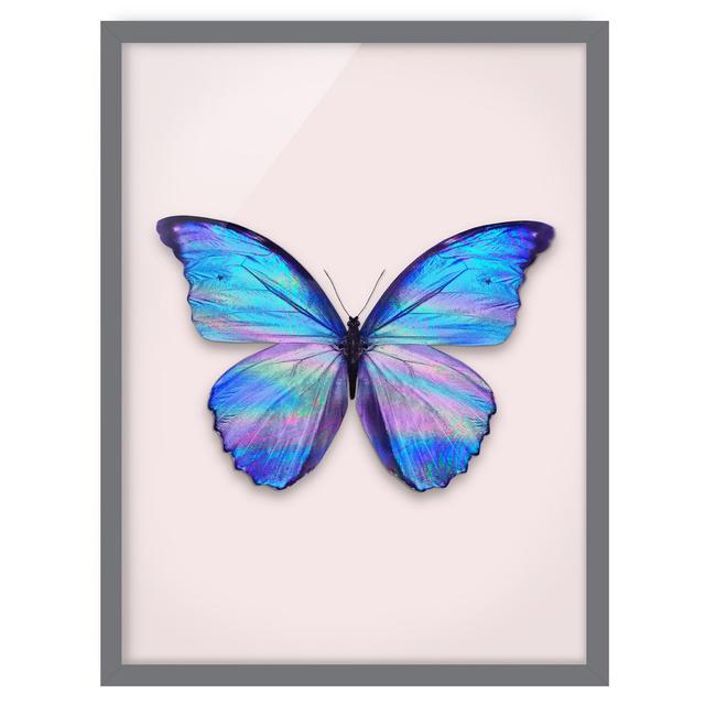 Holographic Butterfly - Picture Frame Photograph August Grove Size: 100cm H x 70cm W x 2cm D, Frame Option: Grey Framed on Productcaster.