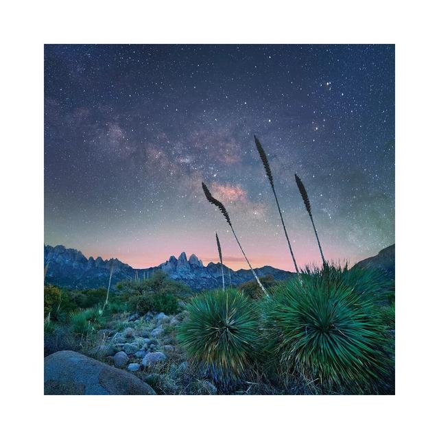 'Agave and the Milky Way, Organ Mountains-Desert Peaks National Monument, New Mexico' Photograph on Wrapped Canvas Ebern Designs Size: 45.72cm H x 45. on Productcaster.