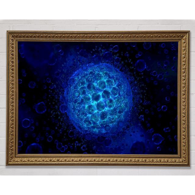 Ocean Planet Framed Print Ivy Bronx Size: 29.7cm H x 42cm W on Productcaster.